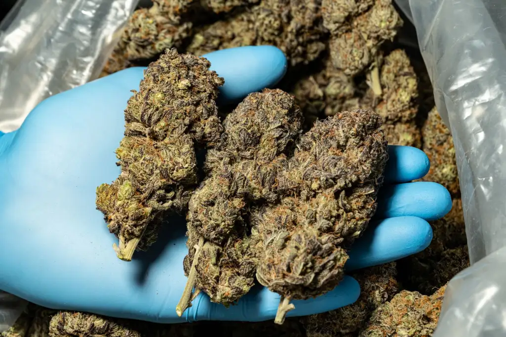 海南地区管材与涂料选型要点及工程适配指南