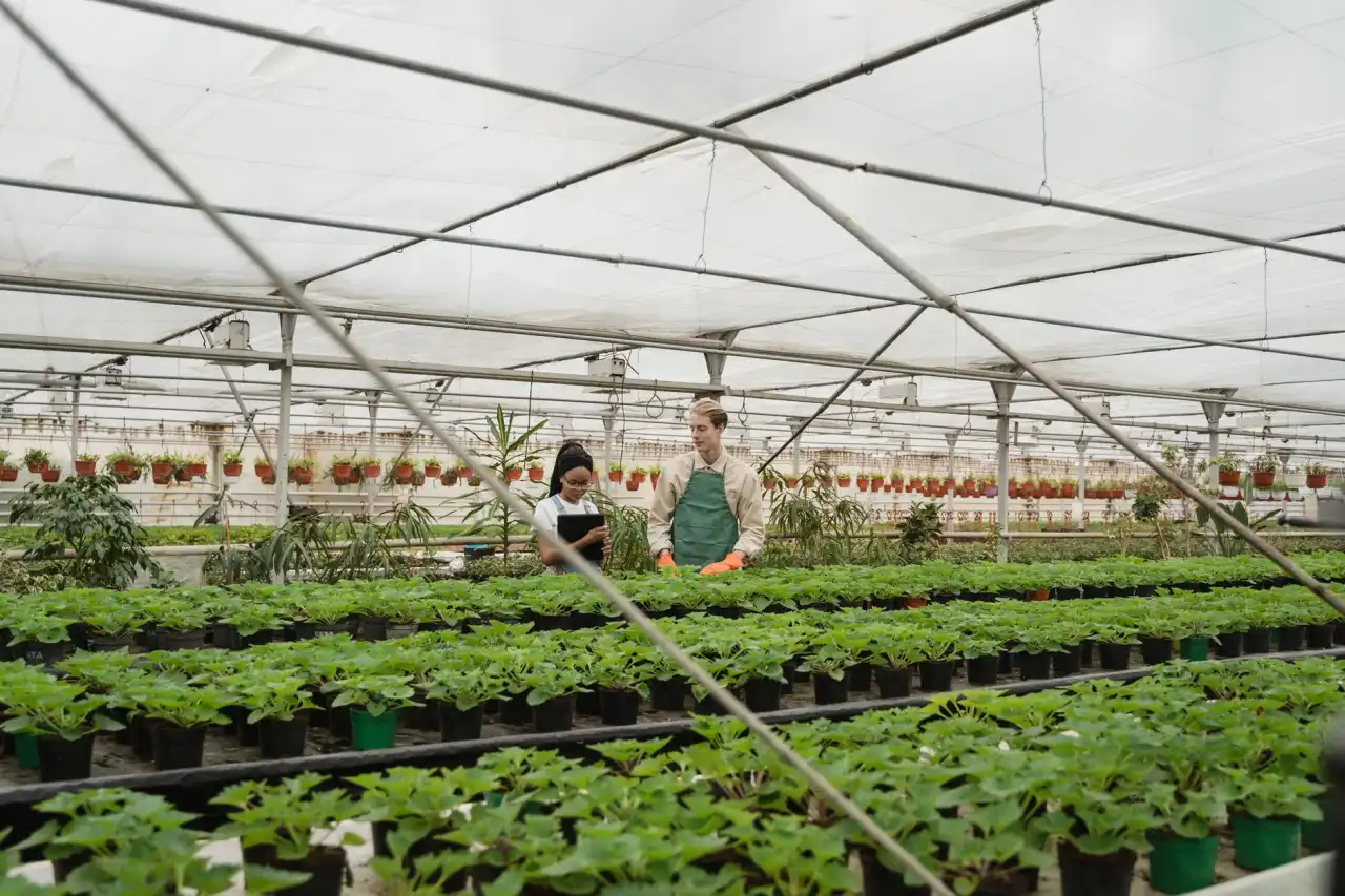 海南装修涂料与管材选用对比：不同工程场景下的材料适配建议